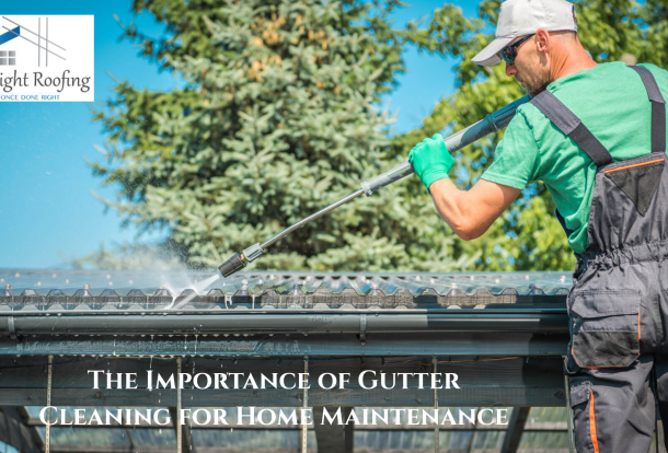 The Importance of Gutter Cleaning for Home Maintenance | Expert Tips
