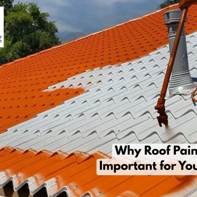 Why Roof Painting is Important for Your Home?