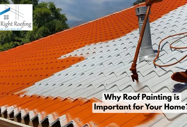 Why Roof Painting is Important for Your Home?
